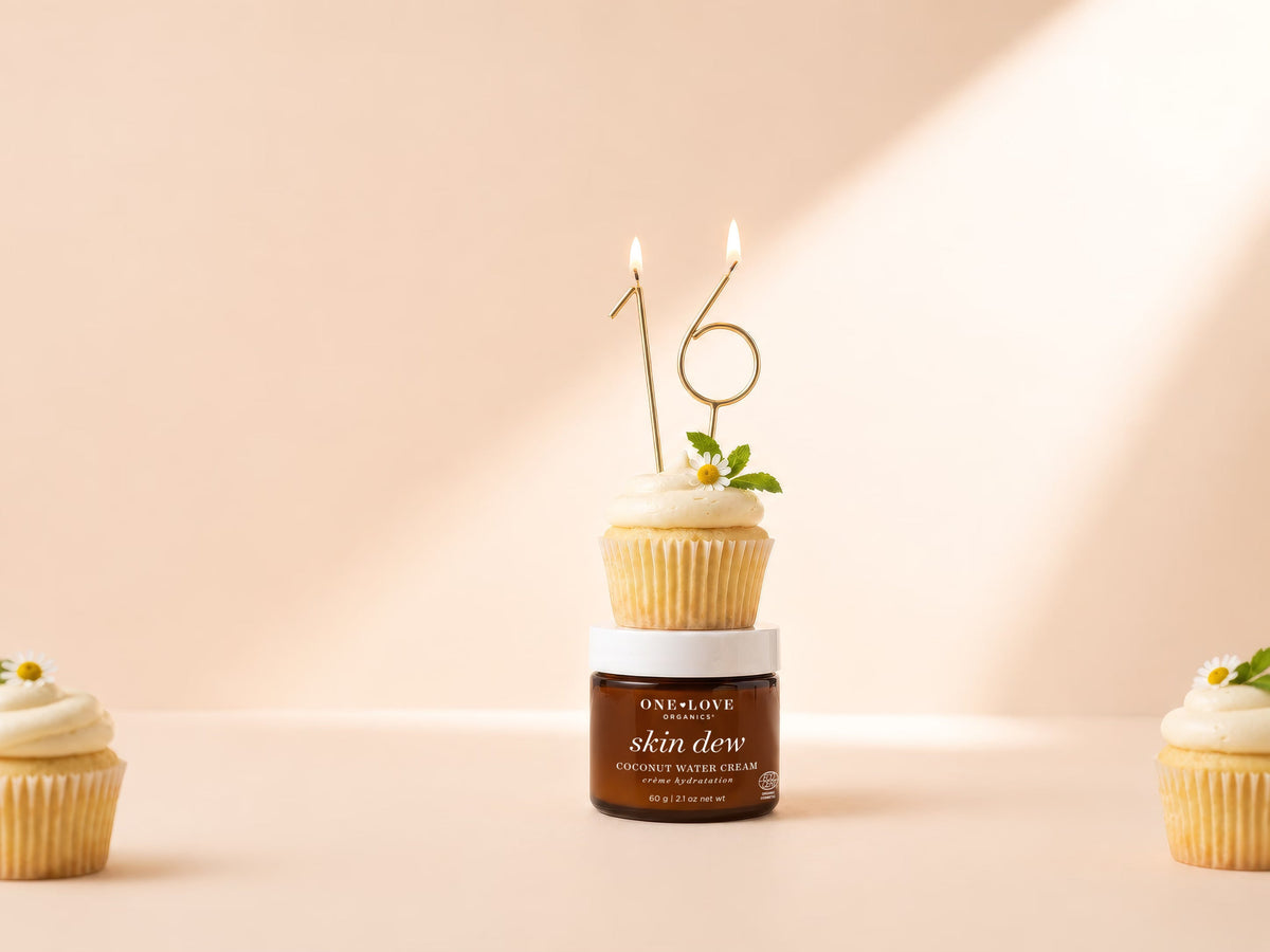 16th Anniversary Sale