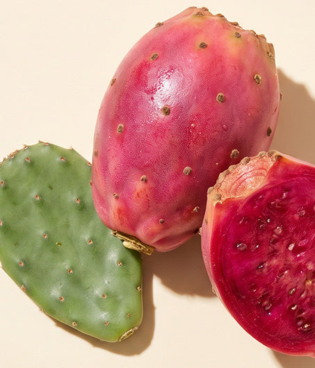 Barbary Fig Cell Extract