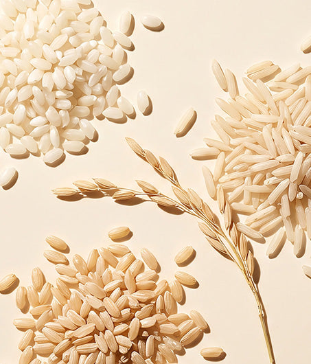 Triple-Rice Active Complex