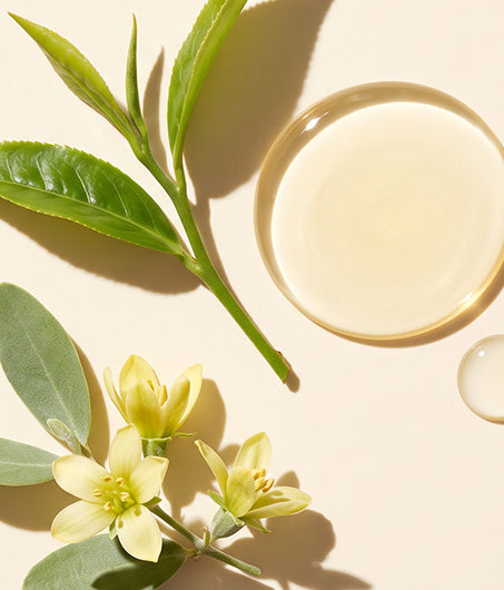 Green Tea + Jojoba Esters