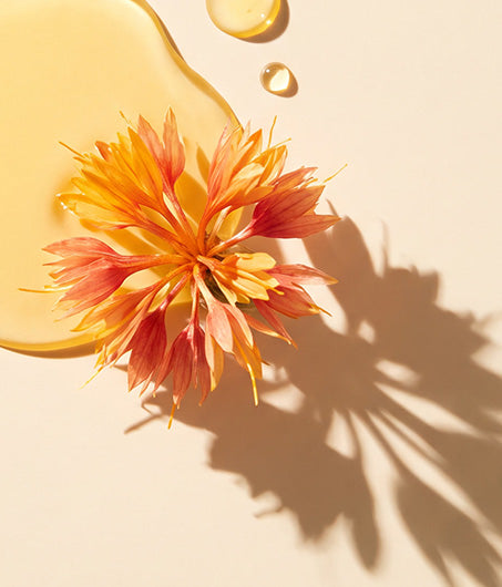 Safflower Oleosomes