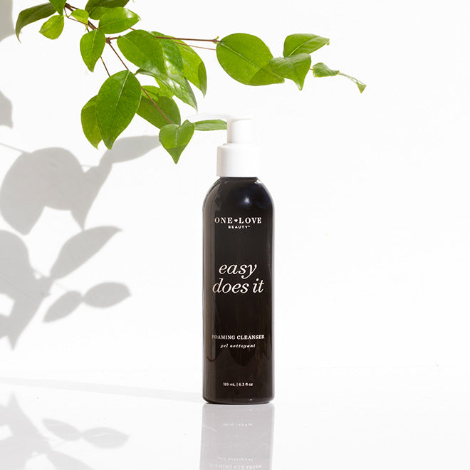 Easy Does It Foaming Cleanser